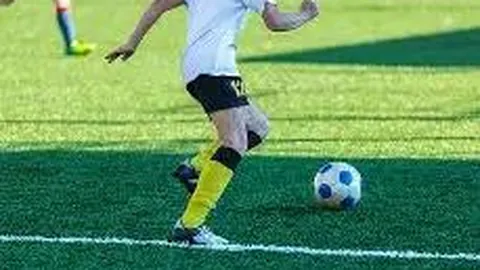 宝威体育 资讯 100322 lm4