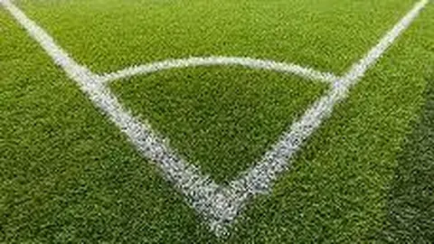 宝威体育 资讯 100425 wpi