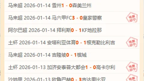 佩德里未来可期，梅里诺不必转向锋线