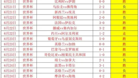宝威体育 212026 9